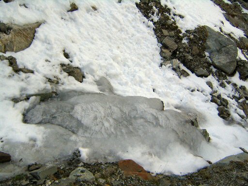 Aiguille Reynier 026.jpg